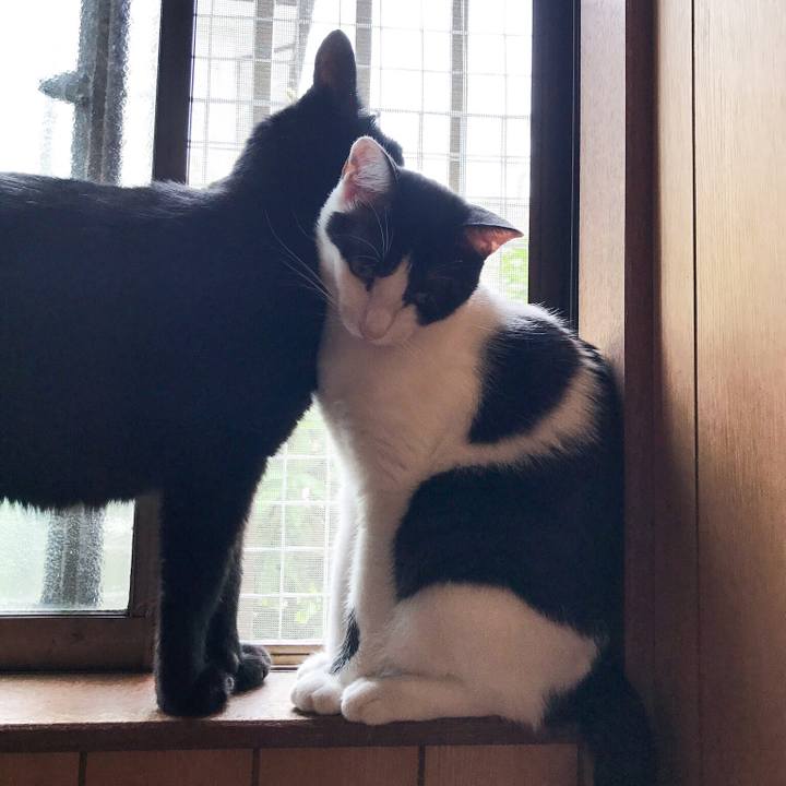 E24a7ef9 766b 4f3a b8a9 087b7afc6f30