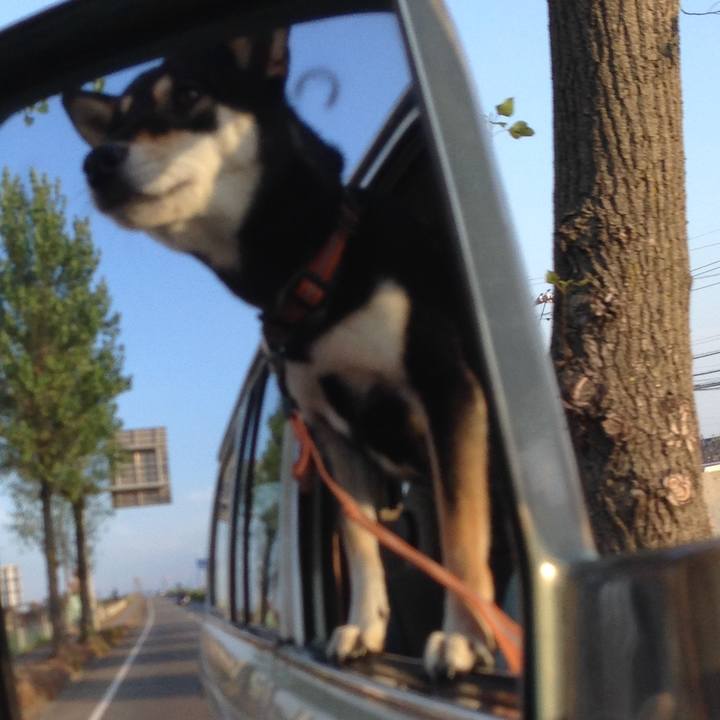 E24ac573 9f93 4e6c 925c c9837c395a30