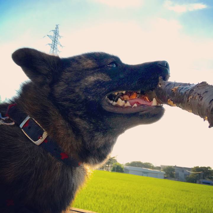 E24b60f9 00aa 4a23 8cdc f8924cd5b0d0