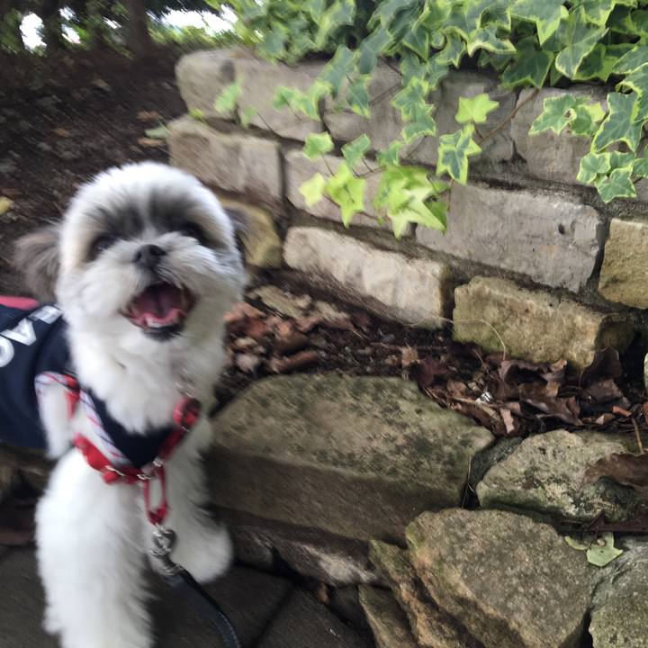 E24bcbee fc82 4eaa 966c e7b34ed56329