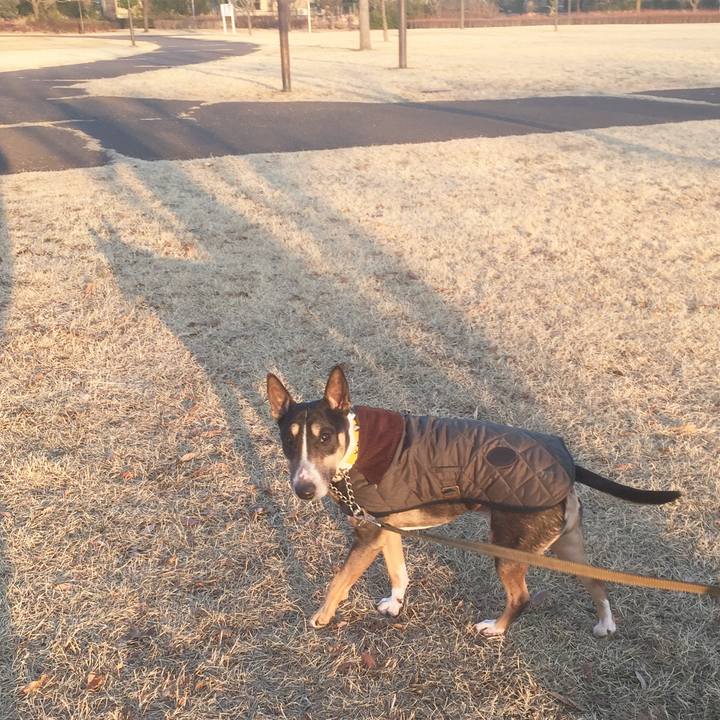 E24c2100 2adb 4a73 a3c9 b76f6fd9df6a