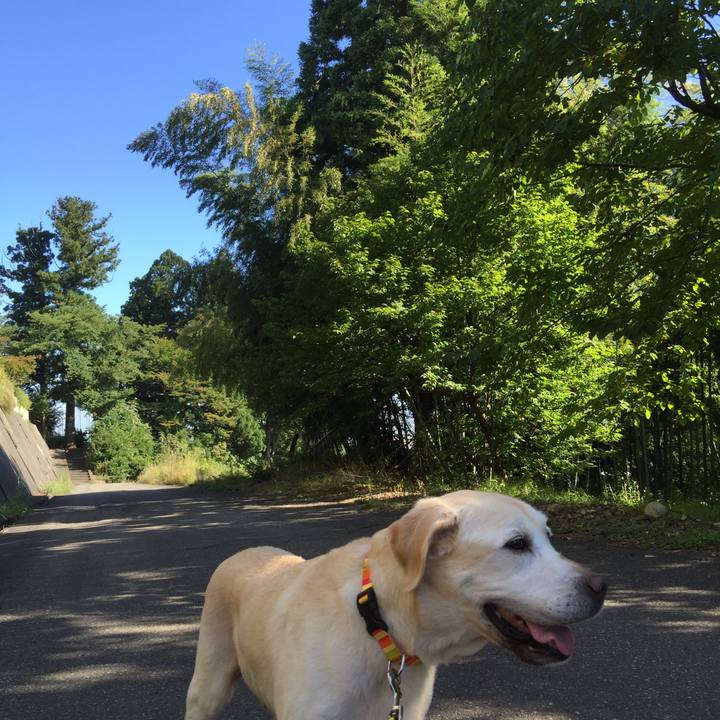 E24c432a bc0b 426a 9e5c 995c7cdd7d21