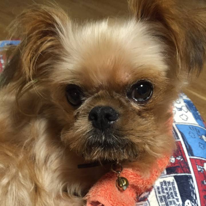 E24cde1b d011 4ad2 8868 963d87f3e041