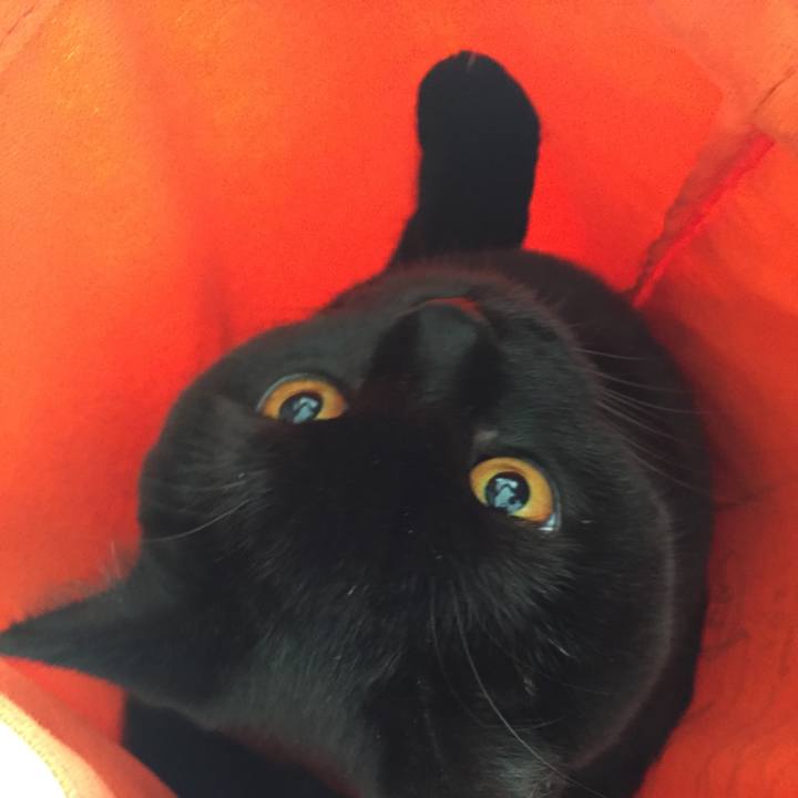 E24d907c 1993 46e4 8ead bd760606fc8a