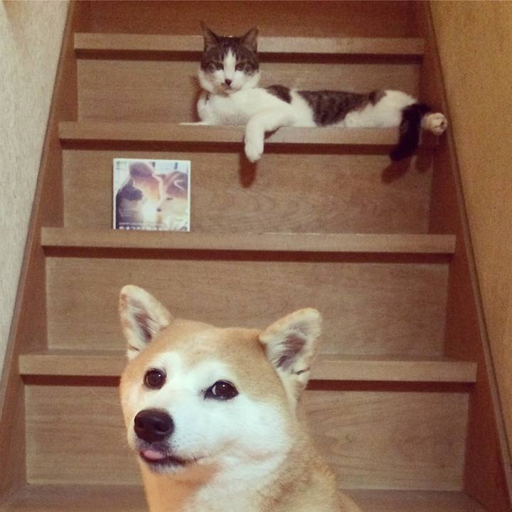 E24de86a c9a3 4ab2 80a3 e80bfb496579