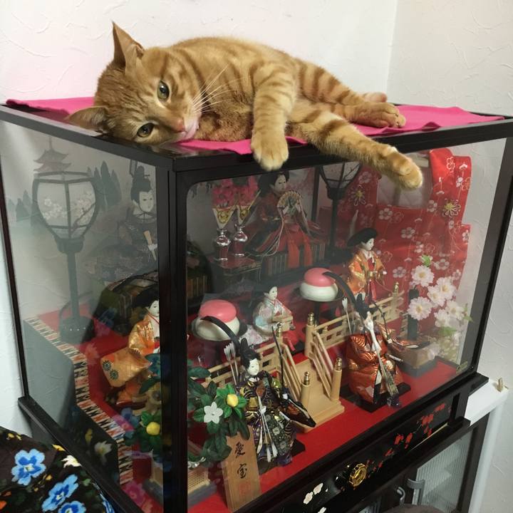 E24e4dec 4d01 41a2 902c a2d89053e753