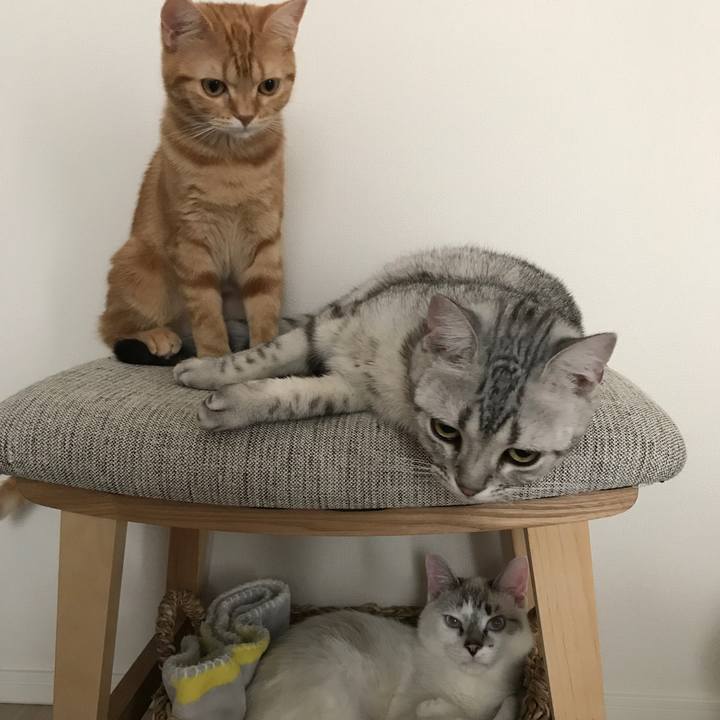 E24e6f5b e4fd 43f4 b1f5 58f478158854