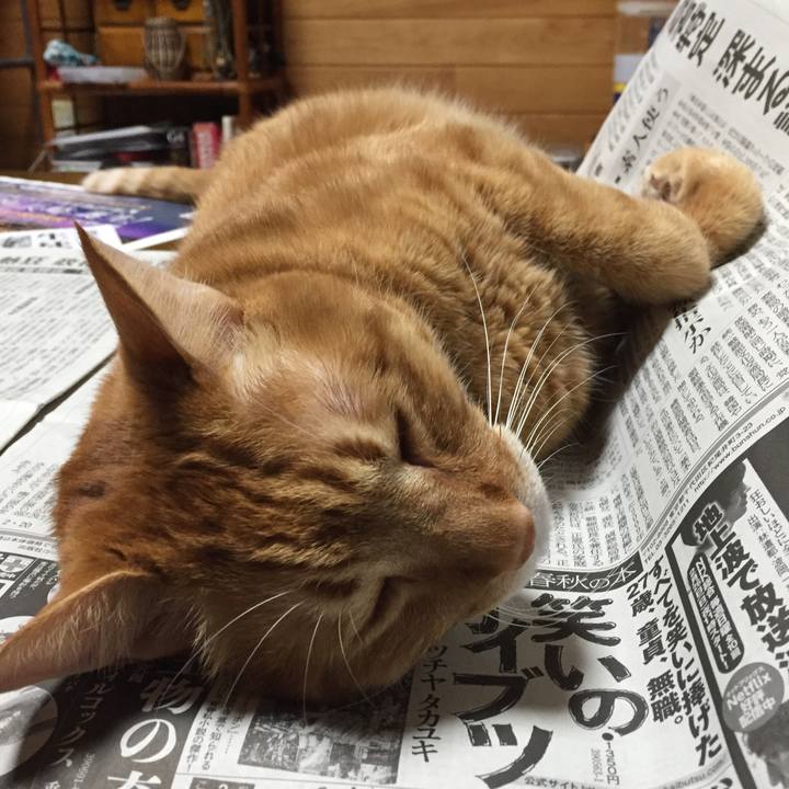 E24e7323 fee6 44e2 ade8 cb864f5680cb