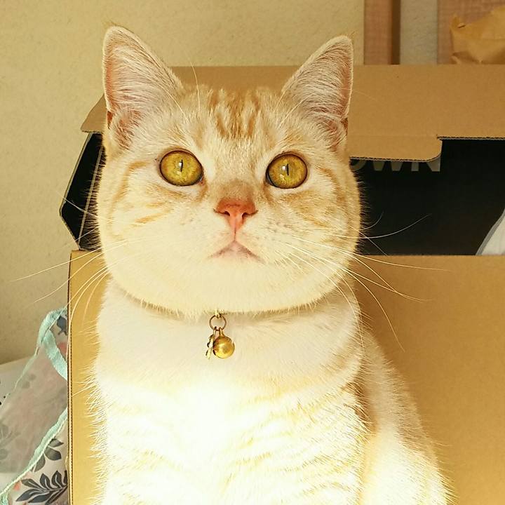 E24ebcc0 54e8 446a b9cb 9d353f43486a