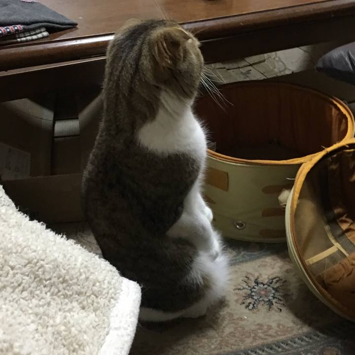 E24fd3ed 4676 4fd5 9471 cb121b742505