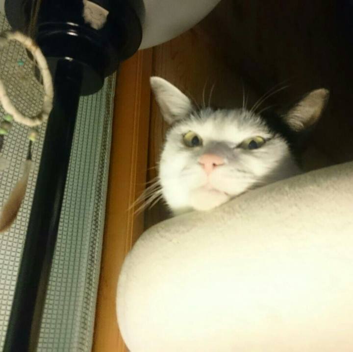 E24ffd61 969c 4091 ab5c 72c1c3f90990