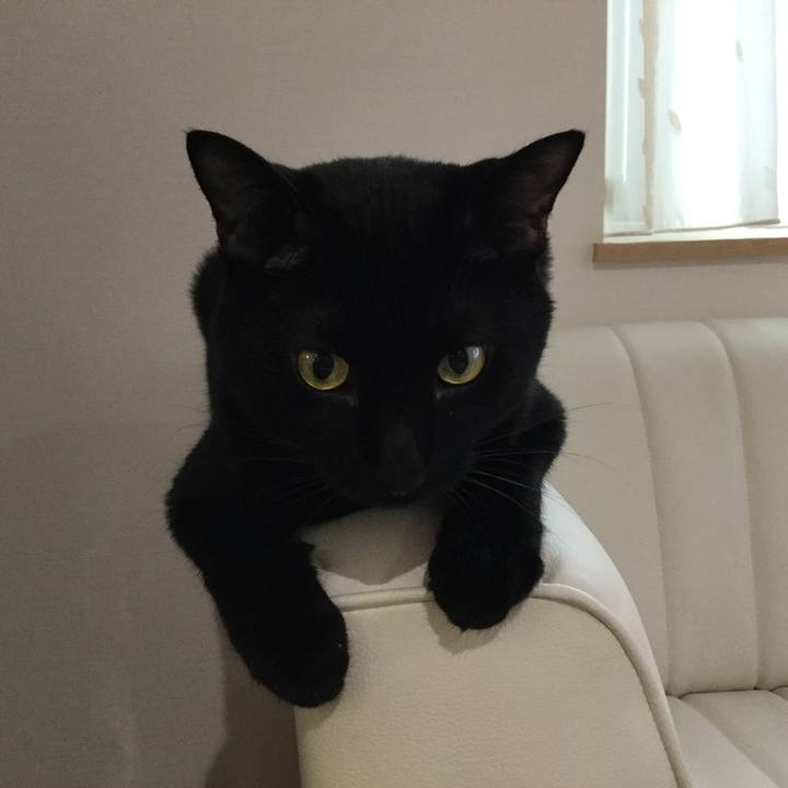 E250e0f4 ed45 4e0c 9429 602cd72bc0b9