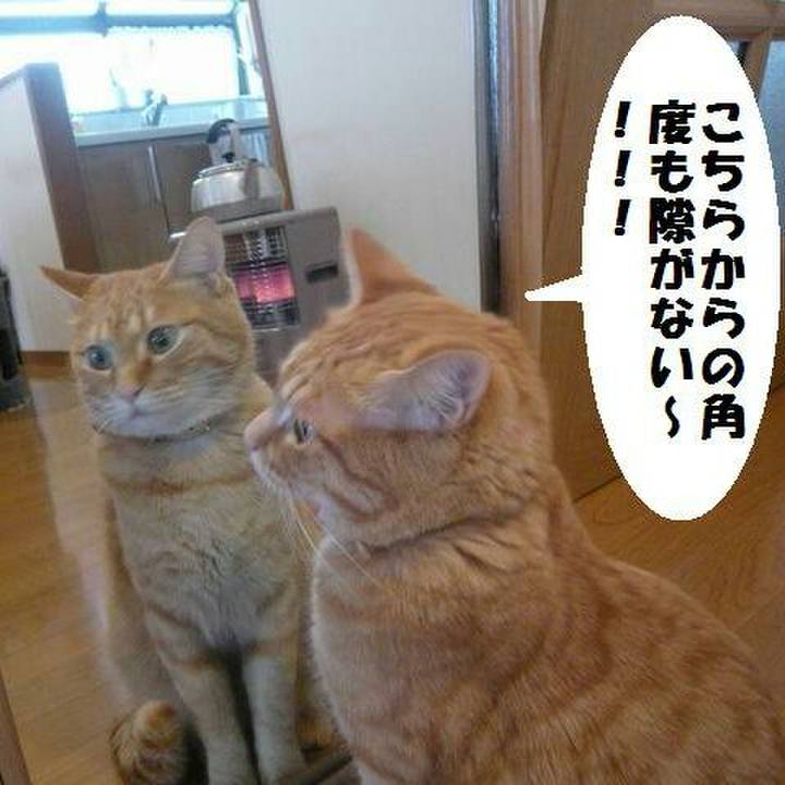 E250f273 65e7 4023 bdc3 e94670e7ac51