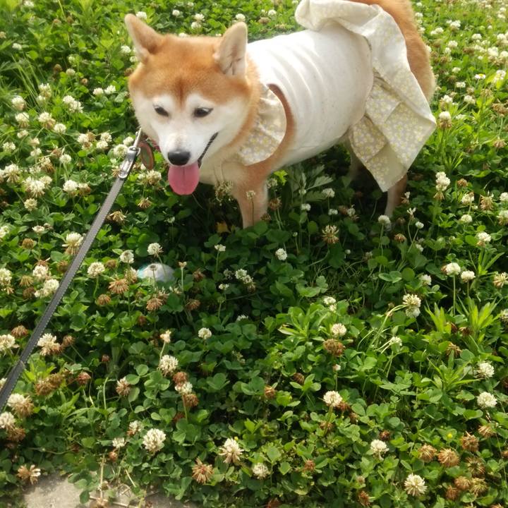 E251016c 2731 4955 a472 48548d2a39c6