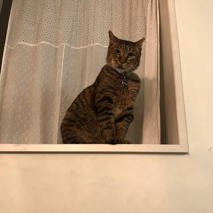 E25165aa a0b4 4f9f 87e5 5dede7fb241f