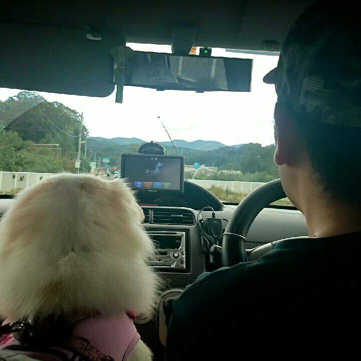 E2519a92 ebd4 4fad b84c 27f822b895d5