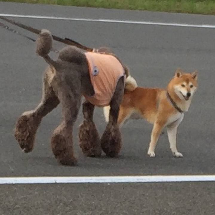 E2524a84 6cee 4007 9bc1 fa6701d496b0