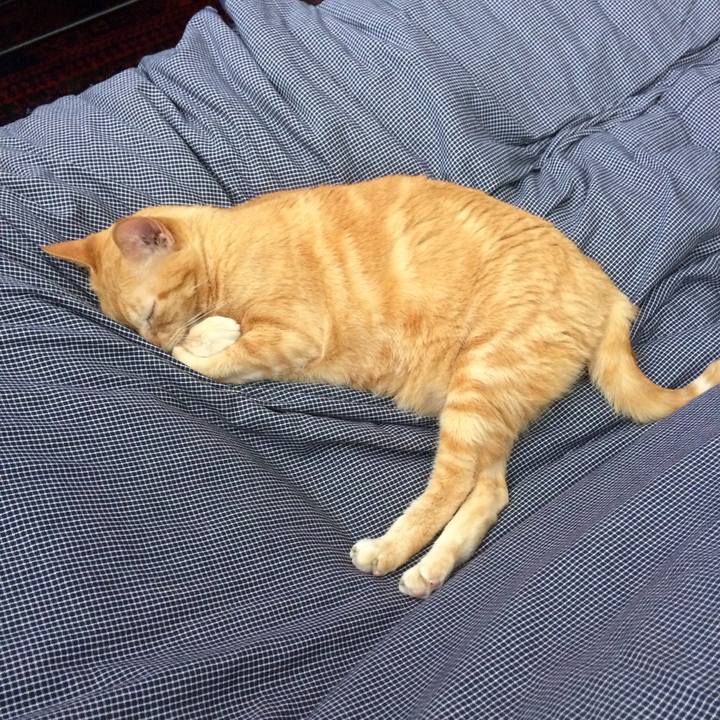 E2529190 0f43 42fd a9e3 c160ff157a46