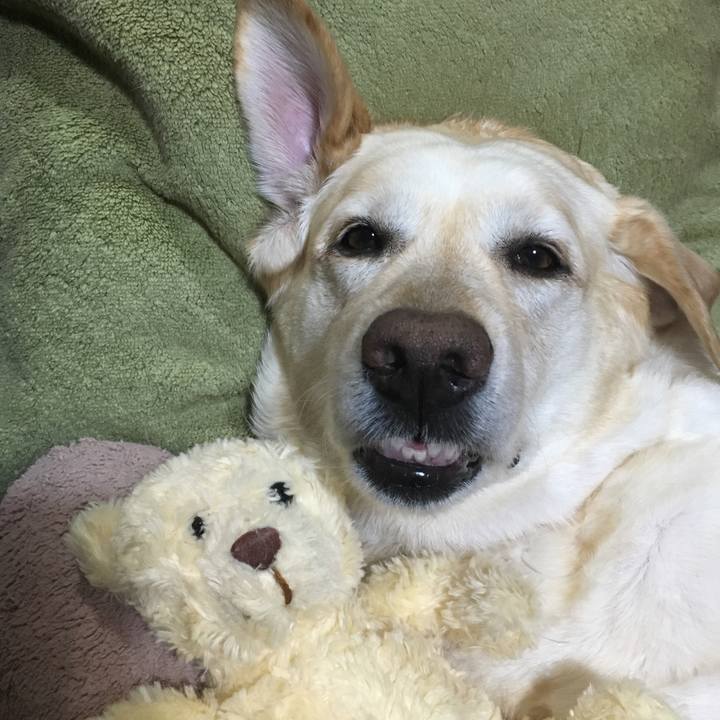 E252bd71 83fd 4f24 b454 4562645242a3