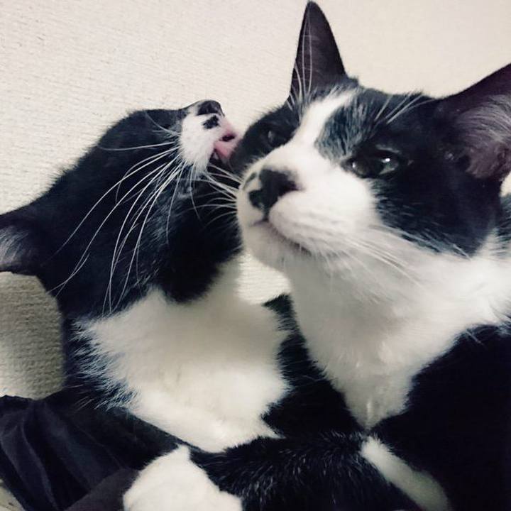 E253a35c 6934 425c 8768 54a33a9d04d7