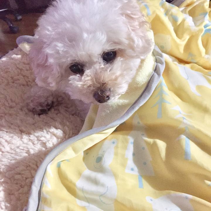 E25420ef 36f7 44a3 adfb b65833fbc10e