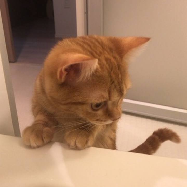 E2546b95 ef4a 4737 9727 2aa92a661d2a