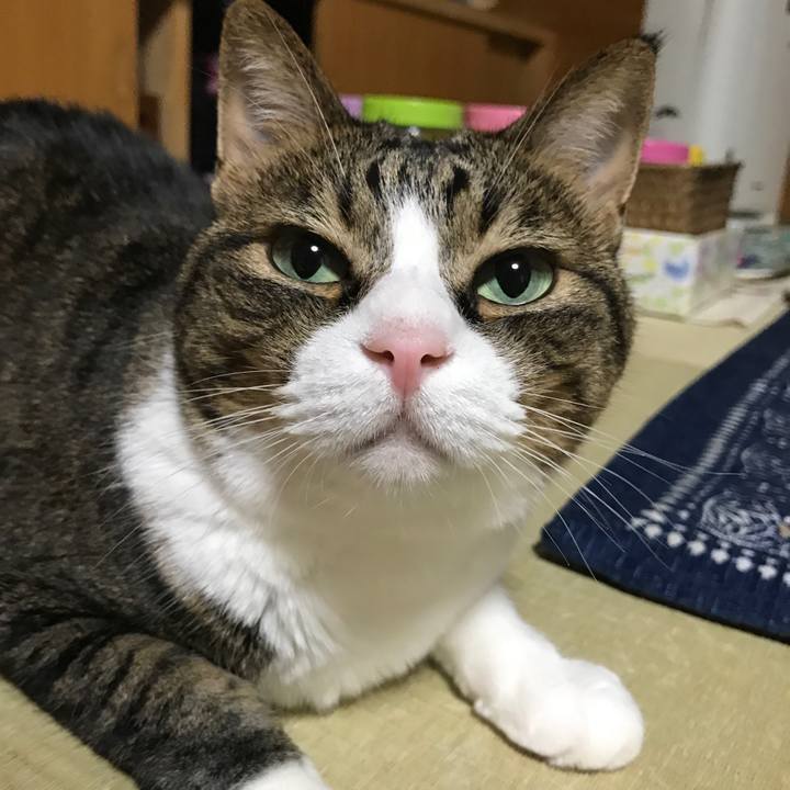 E2555906 5a2d 4465 aab5 ad9b0b100905