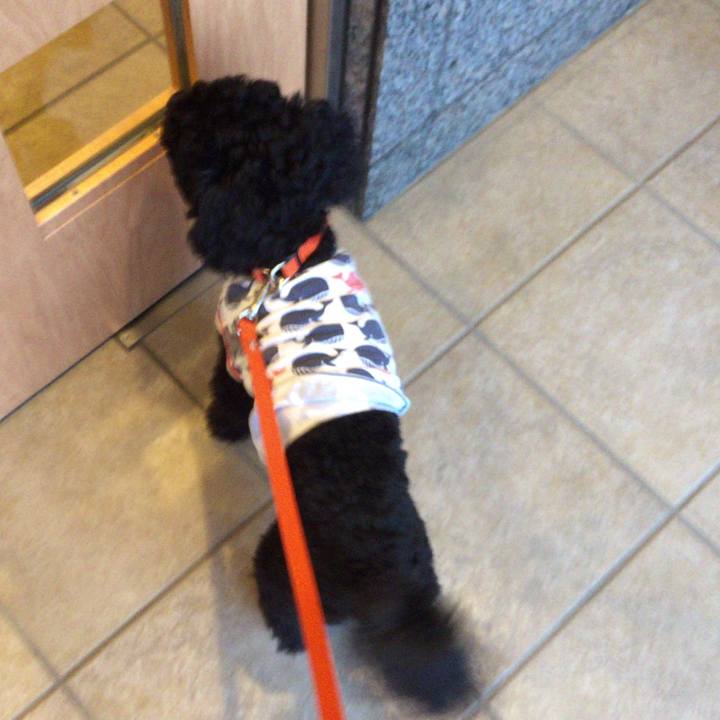 E2559d77 514c 4e49 9250 8ab80b9814d3