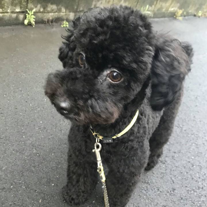 E25661d4 993a 472c 8cad a7599817d67f