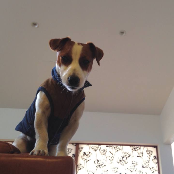 E256b89c 1ea3 4c27 9da0 187cc6f37398