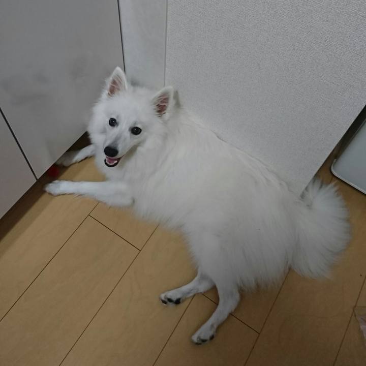 E2573ad3 bb3a 499e b16e 4f924f92bd0d