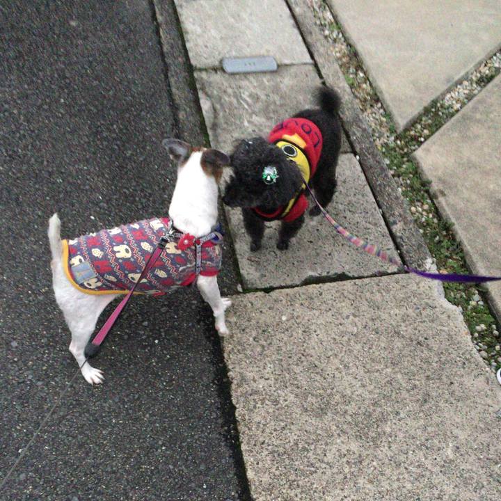 E257524b b038 48b4 b1fa 20ff9fda0607