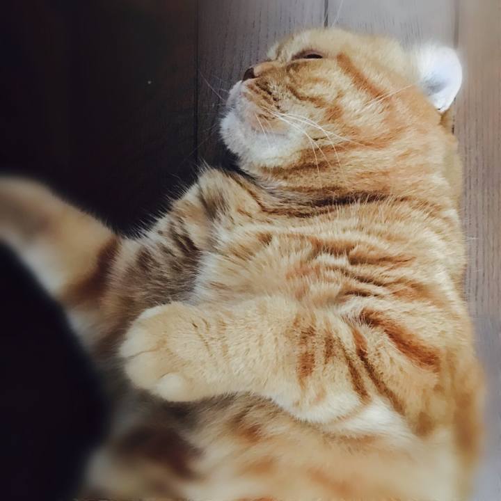 E2575b27 5ac6 42be a6ff 994a880ea655