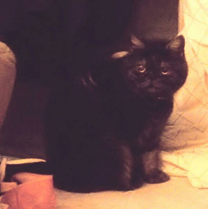 E257a9f4 e75b 49ea 8e87 65eb88f3b438