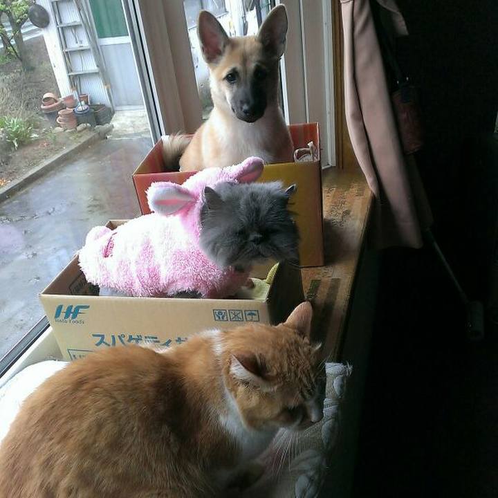 E258448e d9d8 4237 86c5 9ecb2488b530