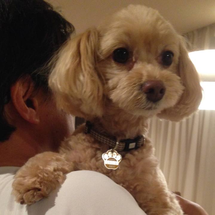 E2584756 cc15 4d11 ae7b 4d5e6126c878