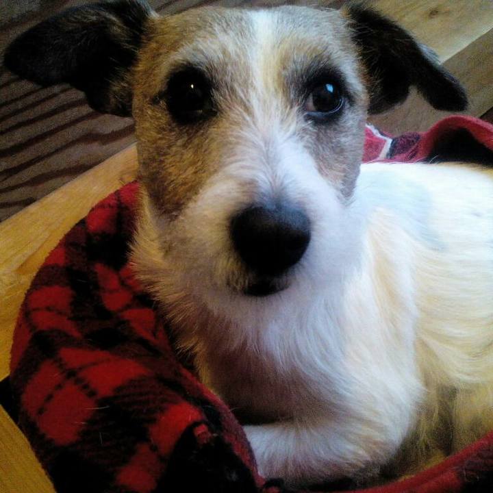 E2584927 c72b 4df4 a0e3 302b0e8b82d6