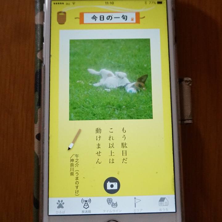 E25884b9 3af4 41b0 821a e33519bbf927