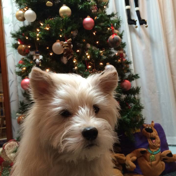 E25927eb 16a8 49da abb3 0b4dfe3430cf