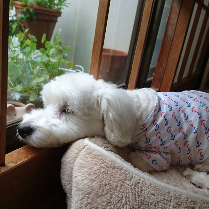 E259866e 0bdc 4563 a9d2 4489a9ac871b