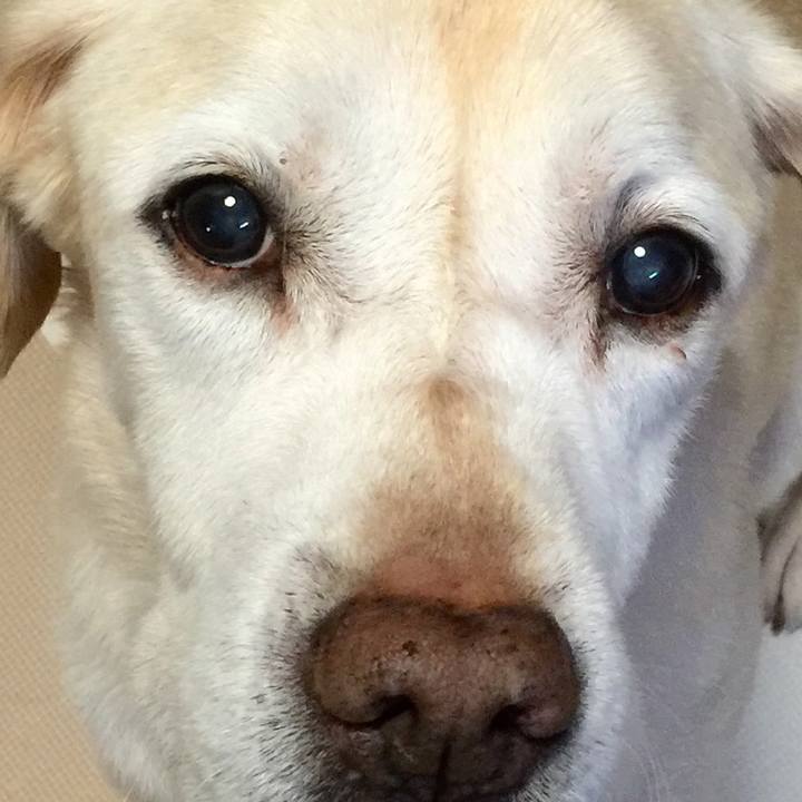 E259ea44 505f 4ba7 addb 82a4a7516ed3