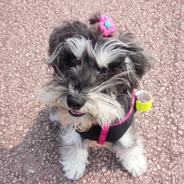 E259f5e6 9db0 46b9 940d e5cf5ead6b7c