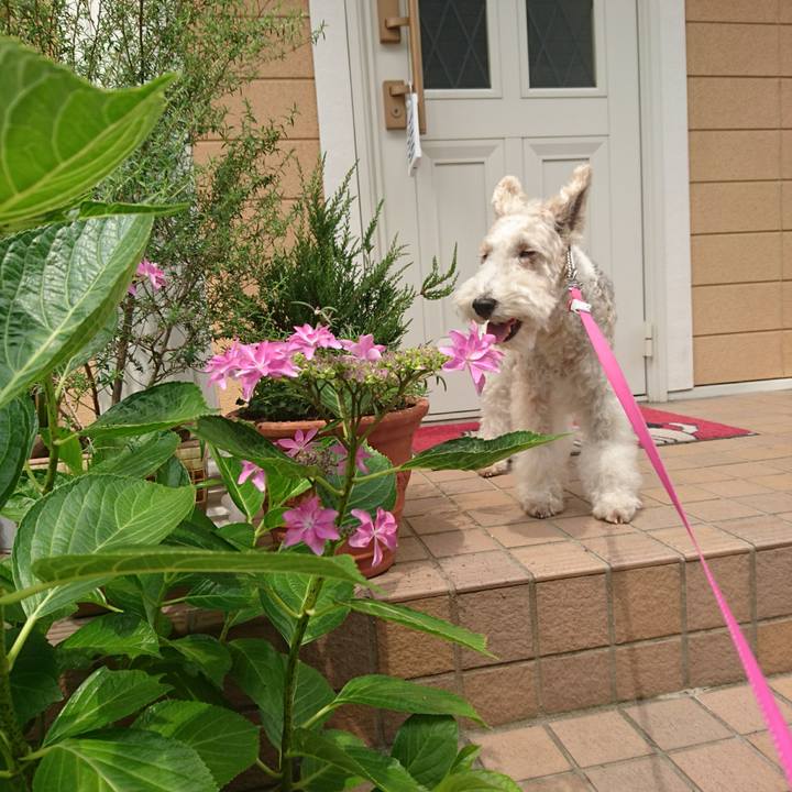 E25a7916 654d 40b5 b8a2 93b31dfb50ca