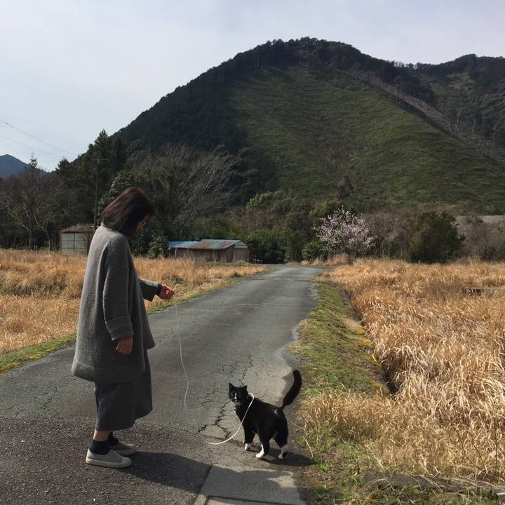 E25a8303 c385 4169 bcdf 02f35c39b05e