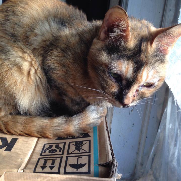 E25b39e9 ee8e 43c2 8246 ac41a82b8ad8