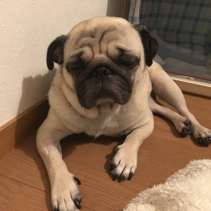 E25ba6b0 df12 40da abb1 85e147cd920c