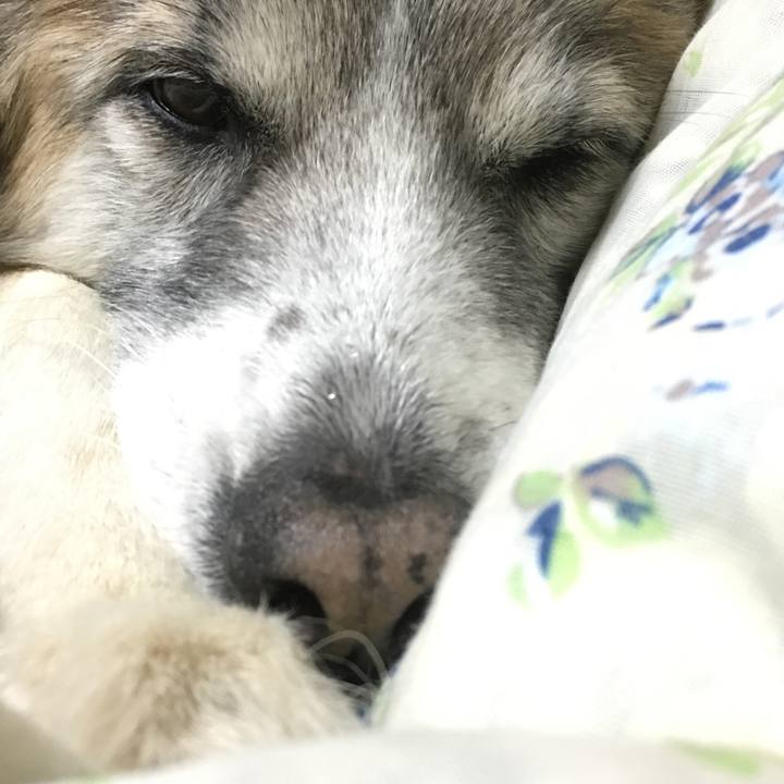 E25bcf63 ccac 4619 96ac 92ce49ae60cb