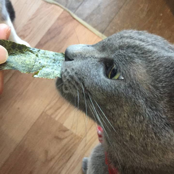 E25c0906 a376 47b0 a1da bf4304b1e9b5