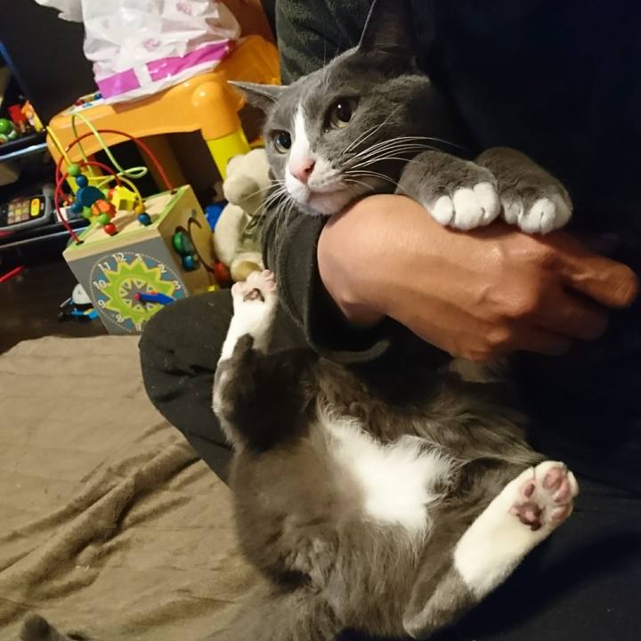 E25c2c45 ffbb 421a 86c9 3575784da6d1