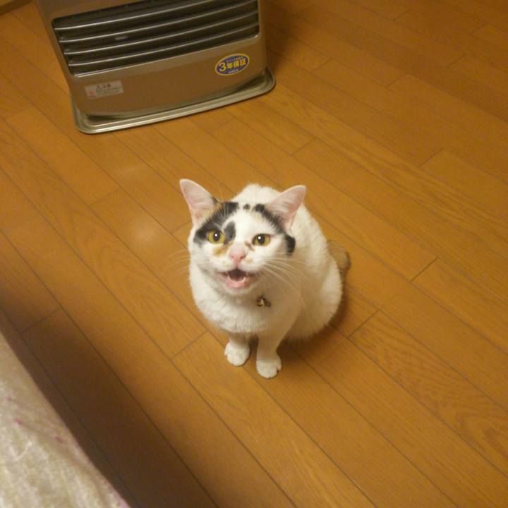 E25c6087 b356 46c8 b7c3 62045f00eec0